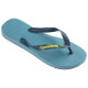 Havaianas Brasil Logo